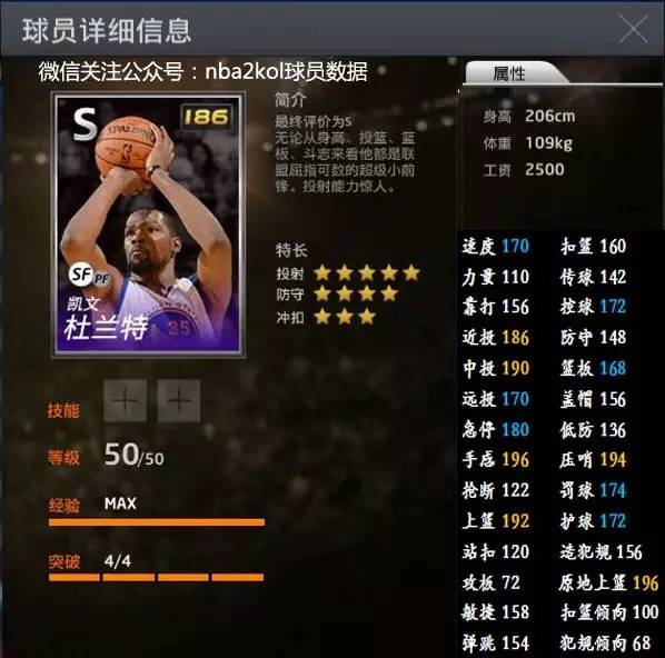 篮的战术素