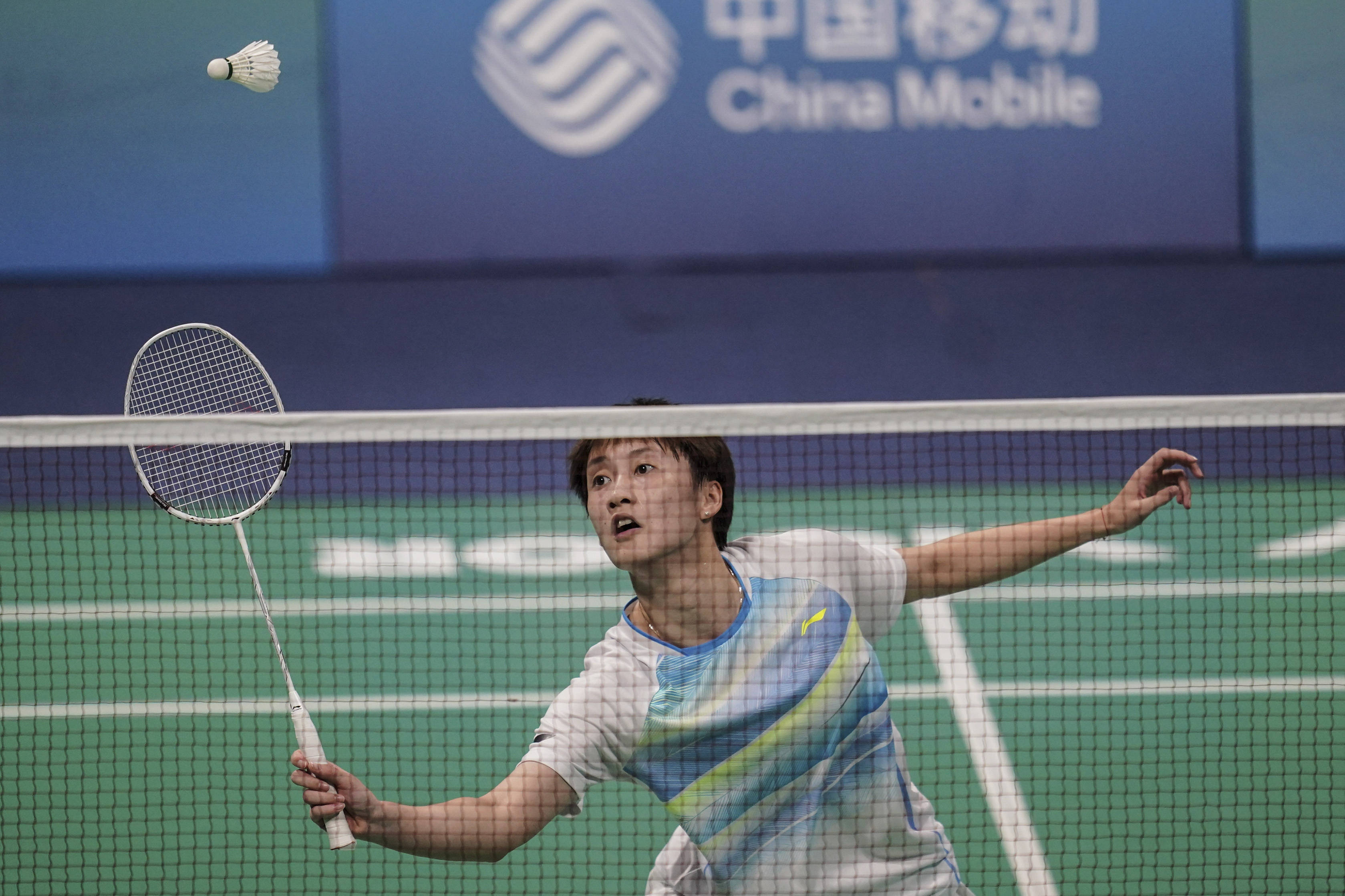 他们已经成 他们已经成