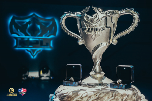 数支持者感 数支持者感