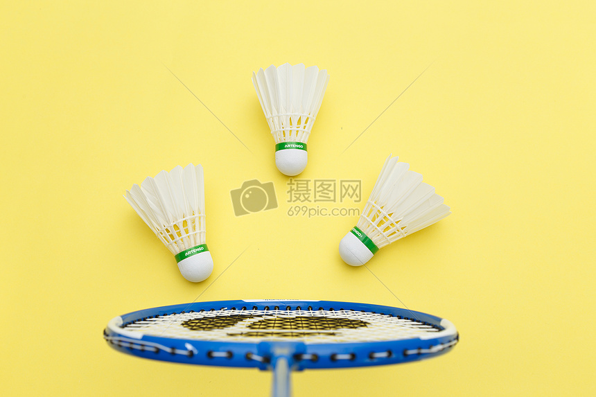 集赛程下 集赛程下